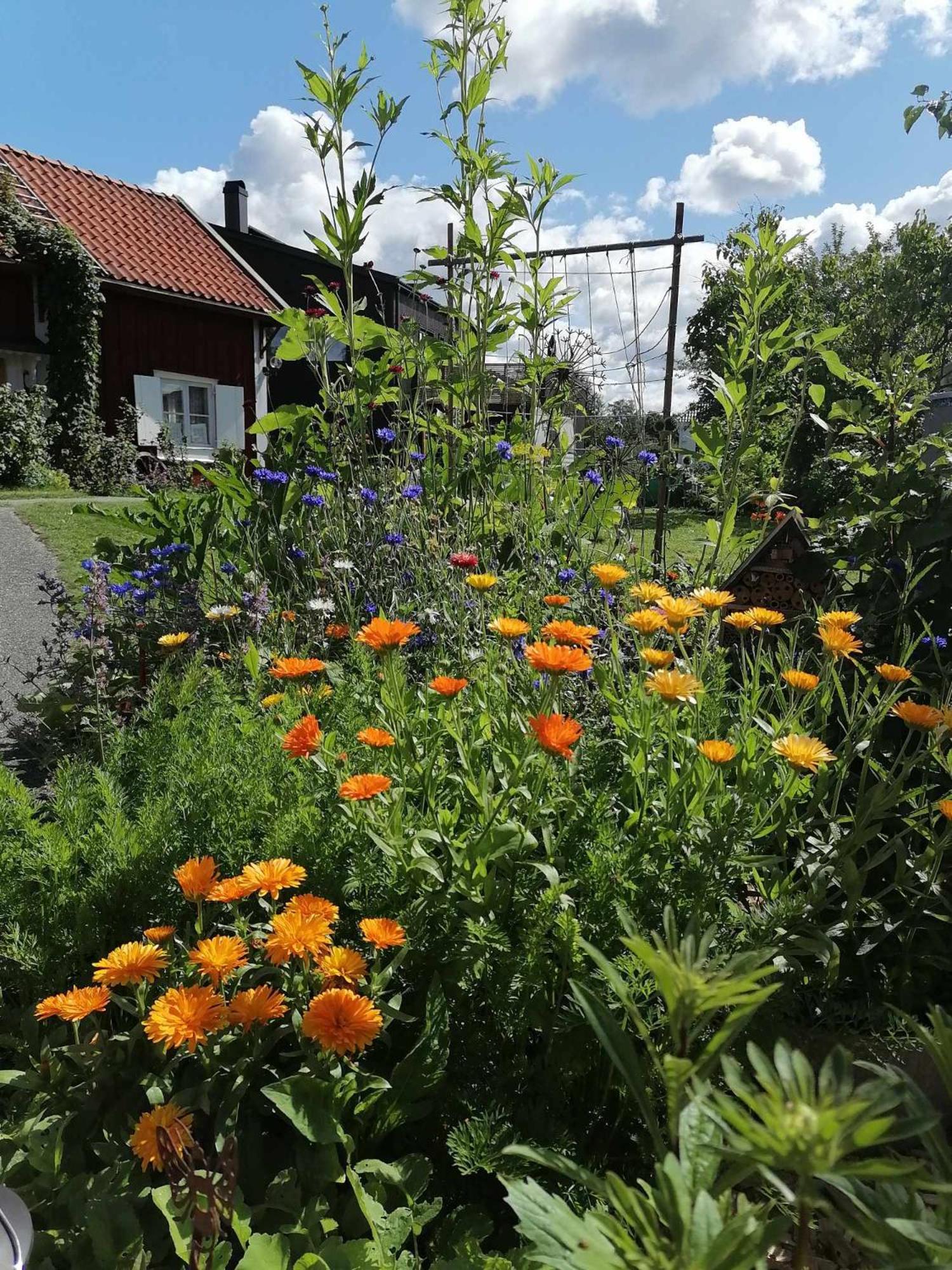 Rustik Stuga Med Lantlig Kaensla Naera Oerebro City Buitenkant foto