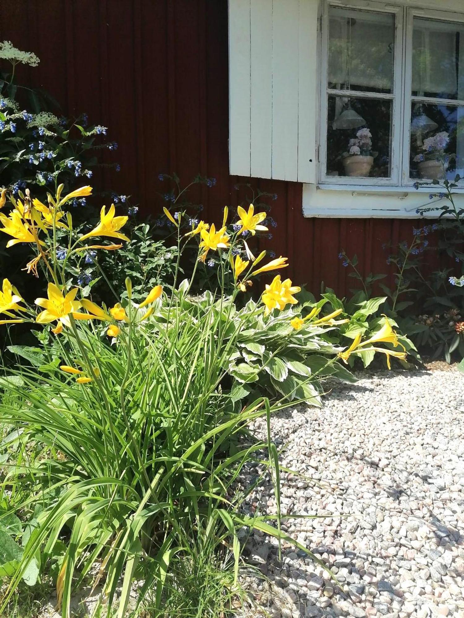 Rustik Stuga Med Lantlig Kaensla Naera Oerebro City Buitenkant foto